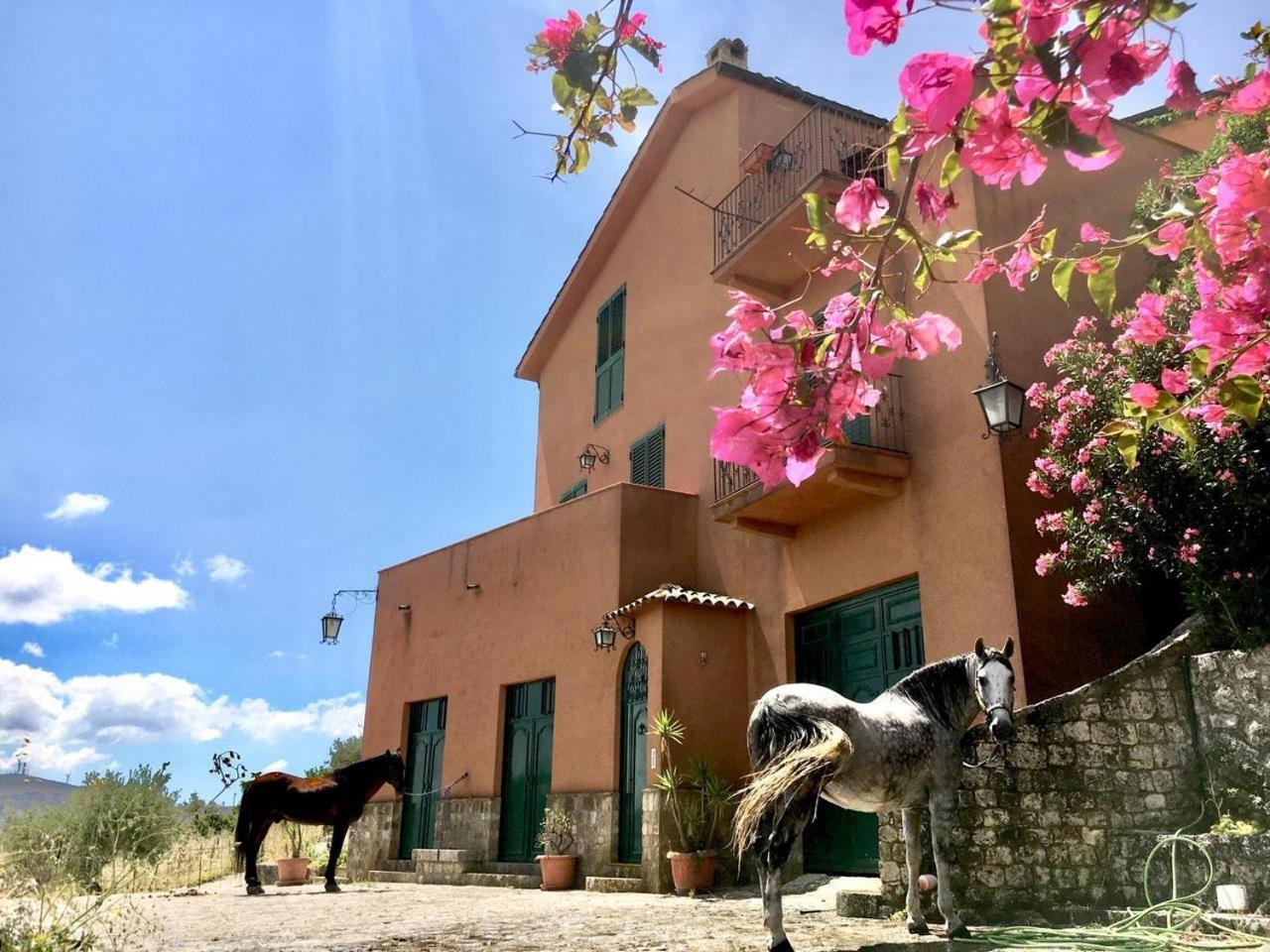 Country Room Sicily - Agrigentoholidays Bagian luar foto